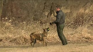 Meet Raven, a K9 that could help solve missing persons cases