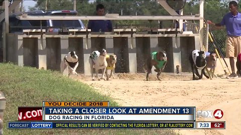 Preview: Taking a closer look at Amendment 13