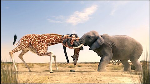 Water fight || Elephant vs Giraffe || 🦒🦒