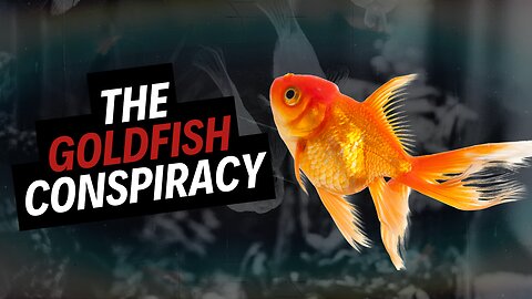 The Goldfish Conspiracy