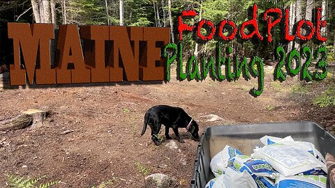 MAINE Food Plot Planting 2023