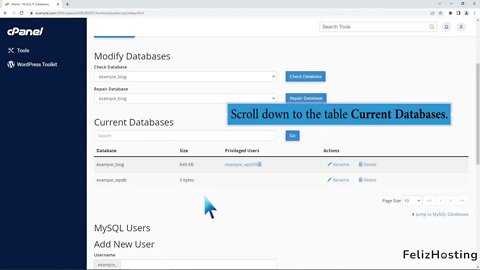 How to delete a database in cPanel with FelizHosting