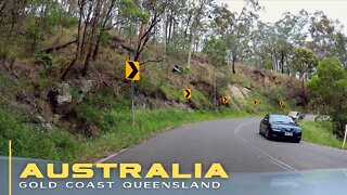 Driving Down Tamborine Mountain | QUEENSLAND