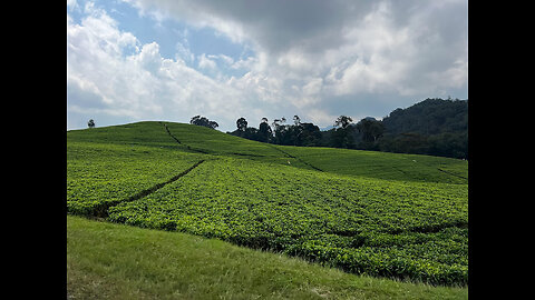 Rwanda, The land of a thousand hills