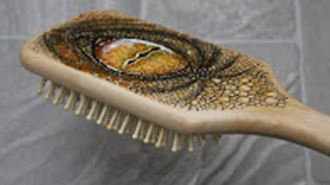 DIY: Reptile eye hair brush