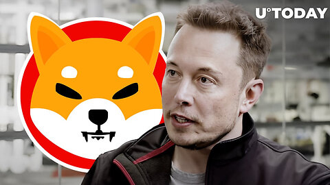 SHIBA INU HOLDER CONGRATULATIONS! ELON MUSK JOINING SHIBA INU