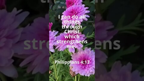 IS THERE ANYTHING YOU CAN’T DO? | MEMORIZE HIS VERSES TODAY | Philippians 4:13