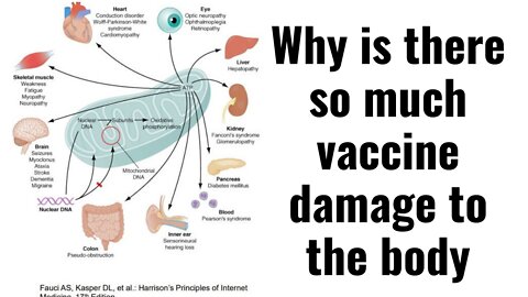 Are 500 Billion spike proteins in the vaccine good or bad?