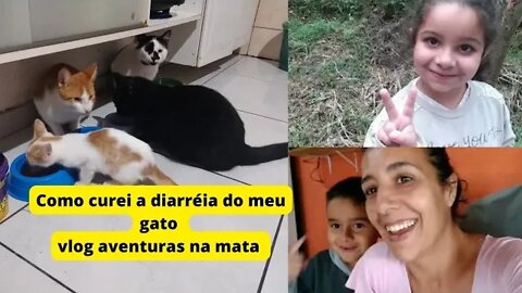 Como cura diarréia de gato- Vlog de domingo- Aventuras na mata