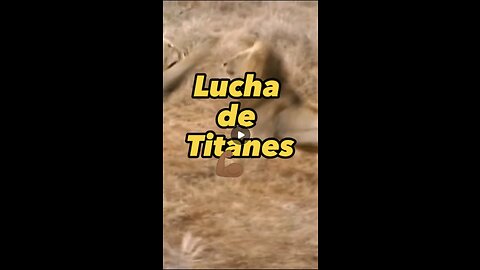 Lucha de titanes