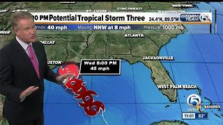 Tropical Storm Bret forms