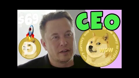 Elon Musk Agrees To Be Dogecoin CEO!!!