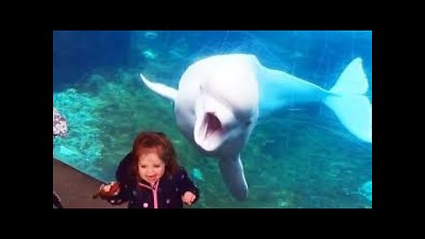 Funny Babies at the ZOO 2021 - Funny Baby Video Compilation! CUTEST KIDS.