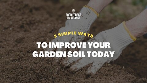 3 simple ways to improve your garden soil today