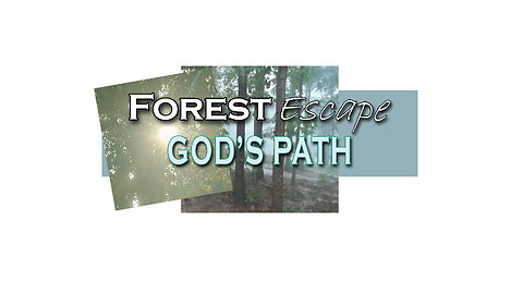 Forest Escape Learn to Live in Victory Not Defeat