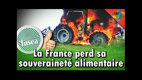 La colère des agriculteurs français, la FNSEA la grande responsable ?