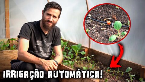 Vamos AUTOMATIZAR a horta e a criação de TILÁPIAS! - Chácara SV