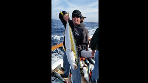 (14) 03/10/2015 - Yellowtail fishing aboard the San Diego out of Seaforth Sportfishing.