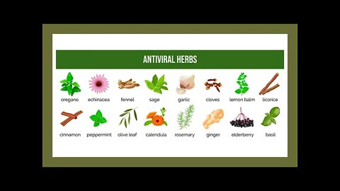 Antiviral Herbs - Natural Treatment