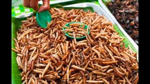 School Children In Wales To Be Served Bugs For Lunch