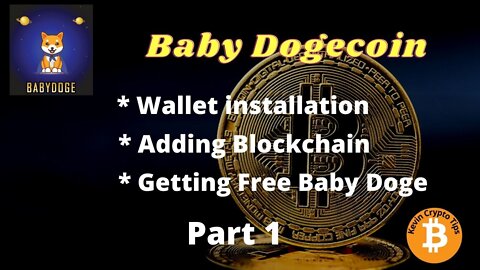 Baby Dogecoin Wallet installation Adding Blockchain Getting Free Baby Doge Part1