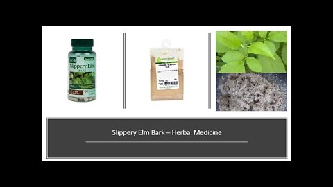 Slippery Elm Bark Herbal Medicine