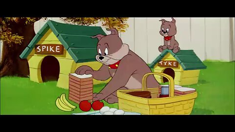 Tom and Jerry Episode 5| Animation