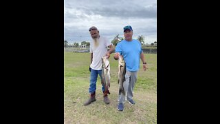 Snook Fishing from the Ortona Lock