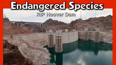 Lake Mead in Crisis. Can HOOVER DAM reach a water level where it cant make any power? Spoiler - YES