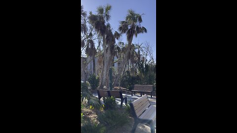 Tarpon Bay Road Beach Park #Sanibel #TarponBay #Ian #Beach #TarponBayBeach #4K #DolbyVisionHDR