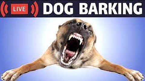 top 10 dogs barking compilation in funny way