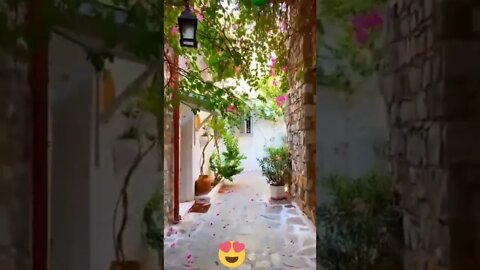 Beautiful Street View #Livesty #ytshorts #Luxury #Nature #viral #viral2022 #trending #trending2022