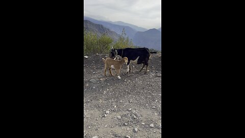 Mother and her Children.