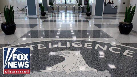 CIA collected unauthorized data on Americans: Democratic senators