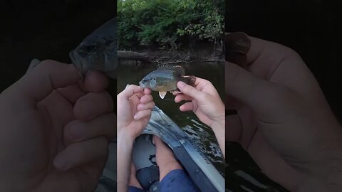 Kayak river fishing in Cincinnati (short version)