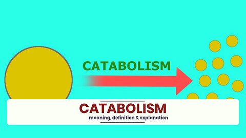 What is CATABOLISM?