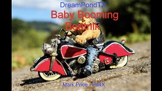 DreamPondTX/Mark Price - Baby Booming Beatnik (Pa4X at the Pond, PP)