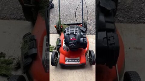 Best push mower ever!!!!