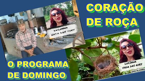 CORAÇÃO DE ROÇA ESPECIAL COM LUCINHA A FADA DAS AVES COM UMA HISTÓRIA LINDA.