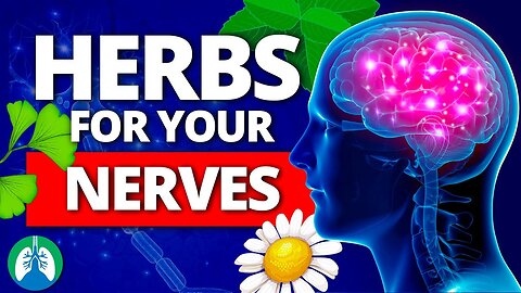 TOP 10 BEST HERBS FOR YOUR NERVES