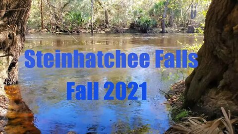 Steinhatchee Falls - Fall 2021