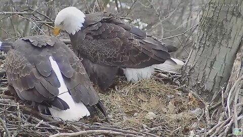 Hays Eagles Dad brings Mom and Gull for dinner 14:50 022 02 13