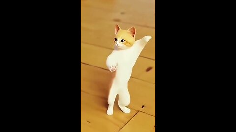 Cute cats ...Funny video 💚❤💚