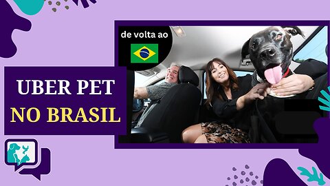 Uber Pet! Como funciona?