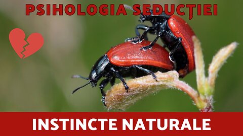 Psihologia Seducției S01 - Instincte Naturale