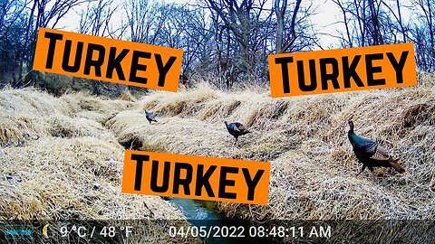 TRAILCAM TUESDAY!!!