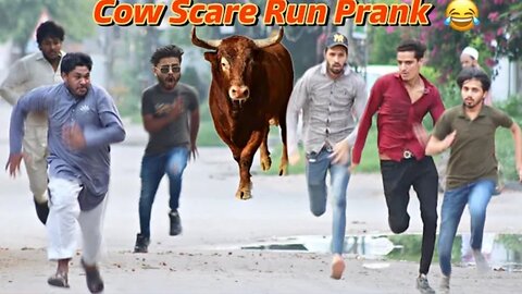 Cow Run Prank 🤣 Cow Scare Run Prank on People 🏃‍♂️🏃‍♀️ Got Some EPIC Reactions! Most Watch 😜