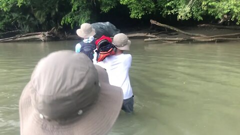 Corcovado National Park --- Hike from Carate to Sirena Range Lodge