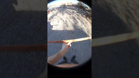 how a fish eye lens distorts the video