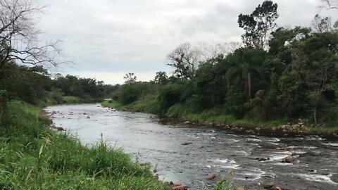 Rio Cubatão do Norte, Joinville, Santa Catarina, SC